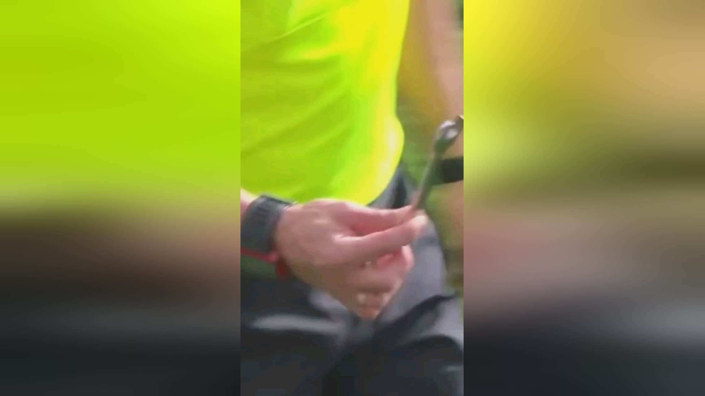 自己